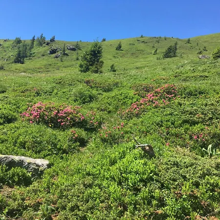 Appartamento Fuchsbau