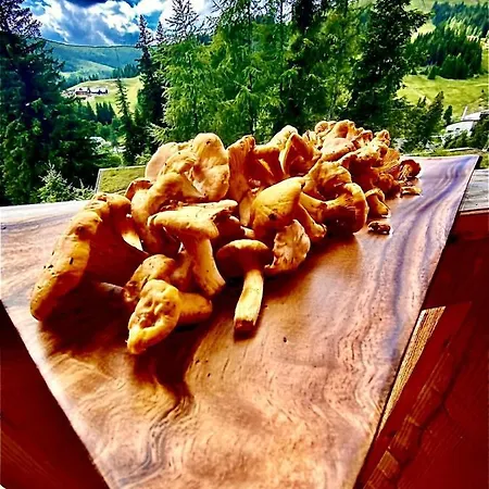 Fuchsbau Apartman *
