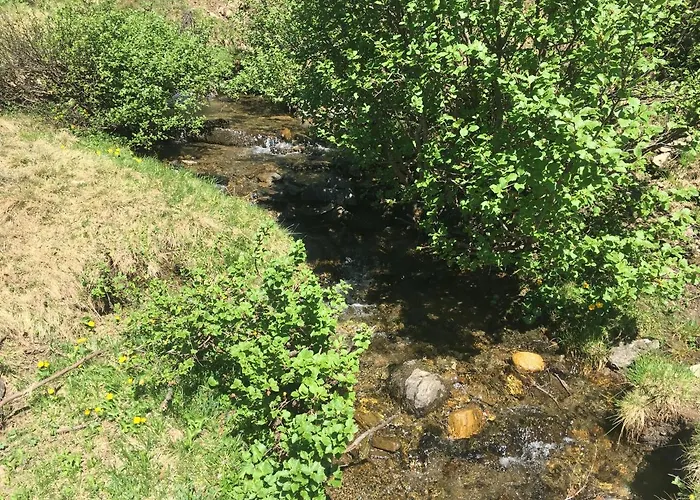 Fuchsbau Apartment *