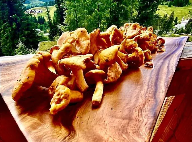 Fuchsbau Appartement *